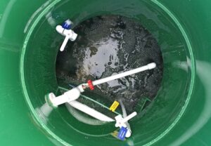 Подробнее о статье Сервисное обслуживание очистных сооружений